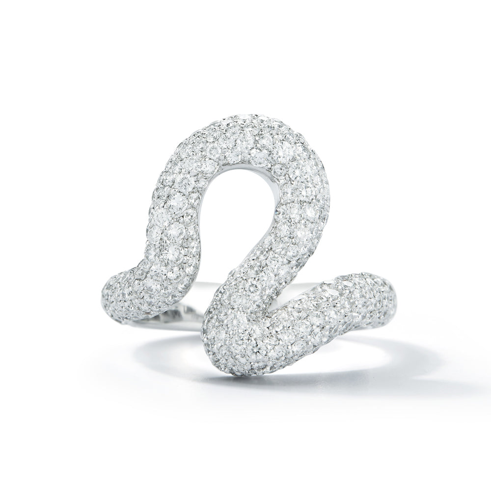 Brushstroke N° 33 Ring